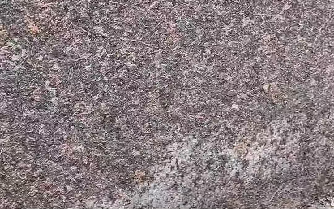 1758163501953429.jpg 微信圖片_202509040919551.jpg